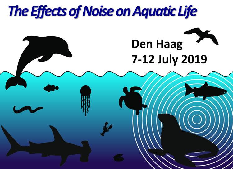 logo aquatic noise 2019