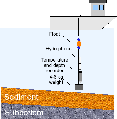 Foreseen deployment for Pico experiment