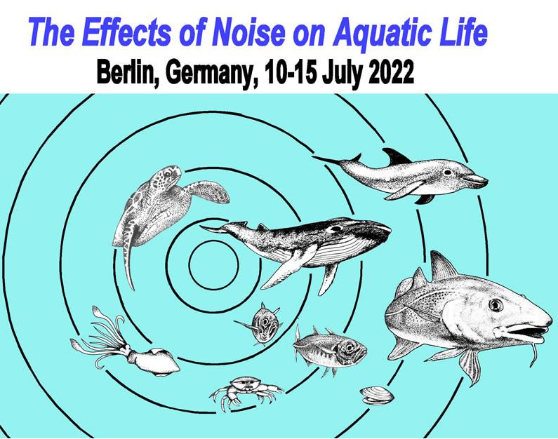 Aquatic Noise logo