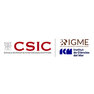 CSIC logo