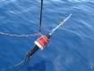 AO-Buoy developed under RADAR project