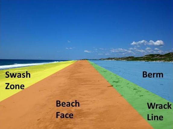 Beach sections