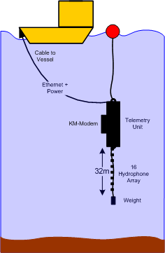 Subsurface Telemetry Unit