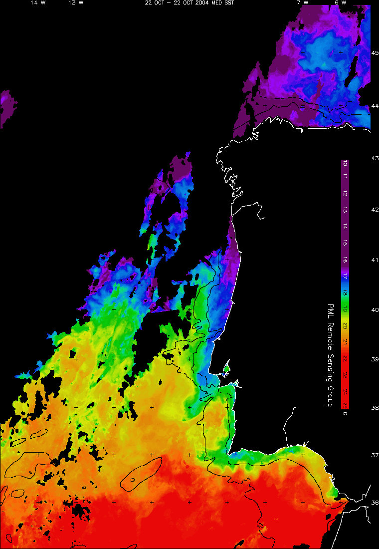 SST data