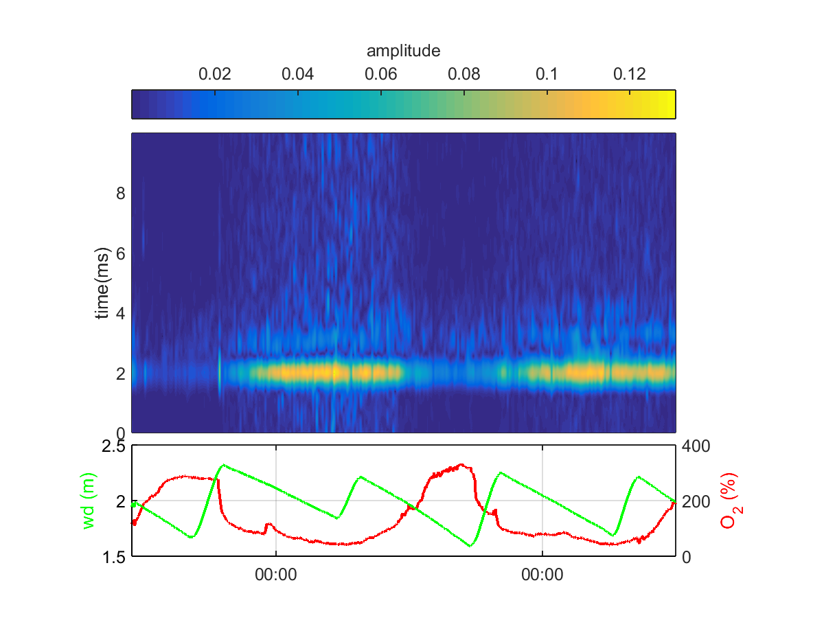 Diurnal variability of low frequency signals LF signals