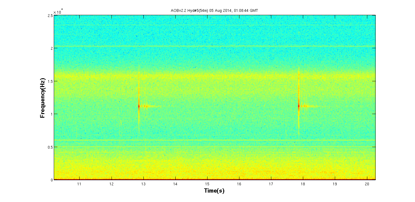 pinger signals received on AOB